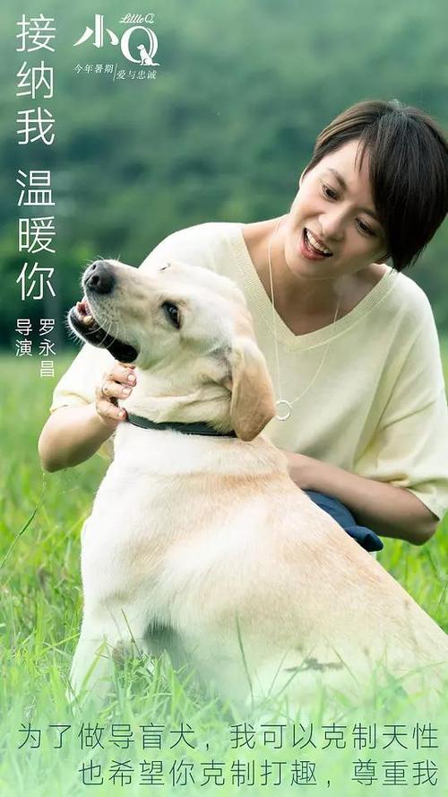 办假的北佐治亚大学文凭毕业证